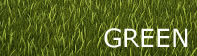 Environmental Contribution / Social Responsibility
